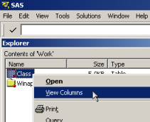SAS/Explorer table node context menu
